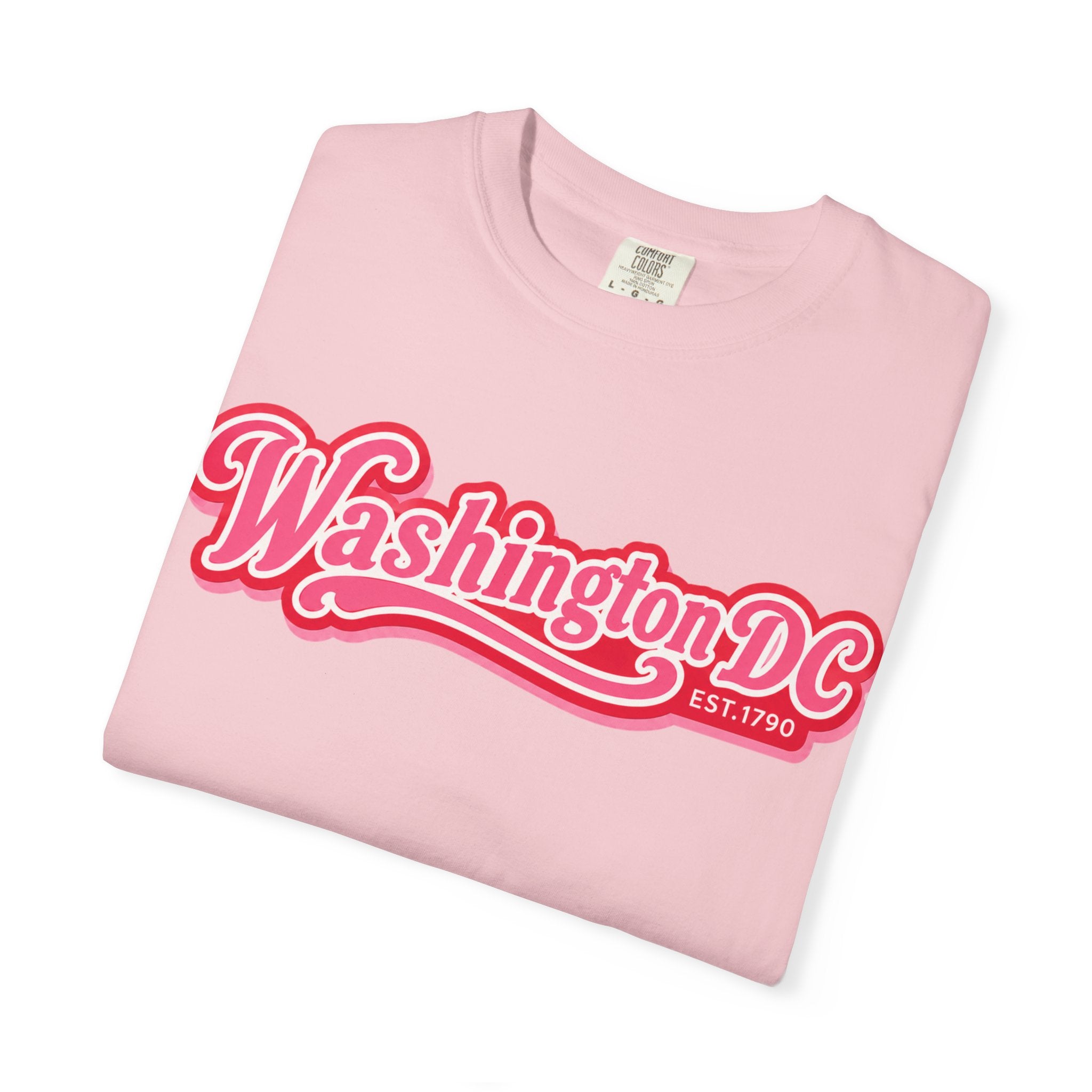 Washington DC Retro Script Tee