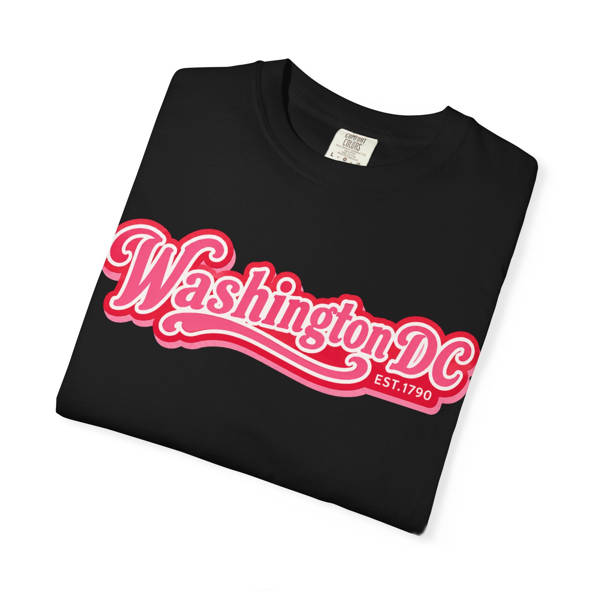 Washington DC Retro Script Tee