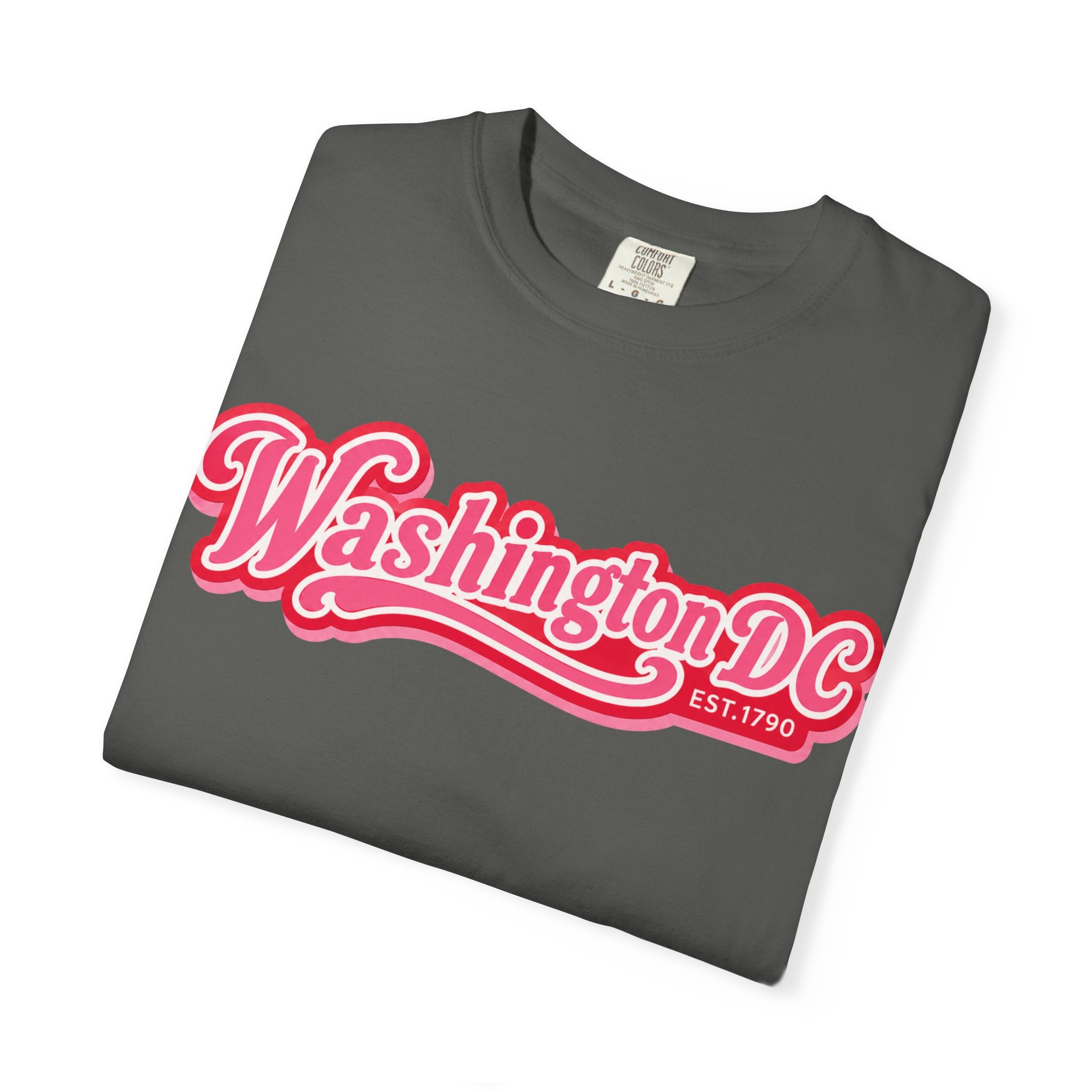 Washington DC Retro Script Tee